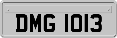 DMG1013