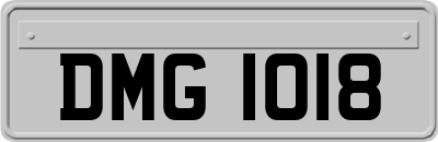 DMG1018