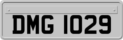 DMG1029