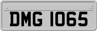 DMG1065