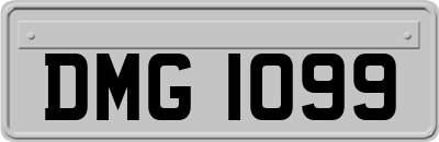 DMG1099