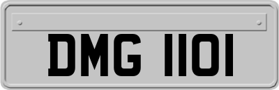 DMG1101