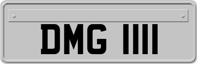 DMG1111