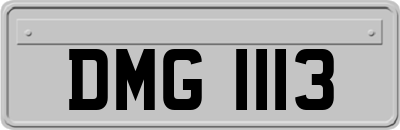 DMG1113