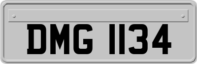 DMG1134