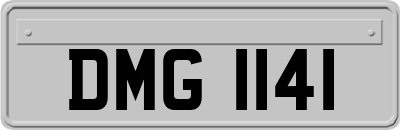 DMG1141