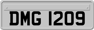 DMG1209