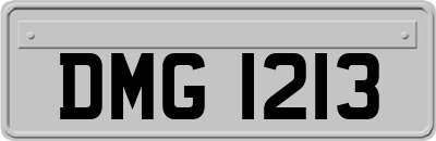 DMG1213
