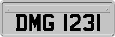 DMG1231