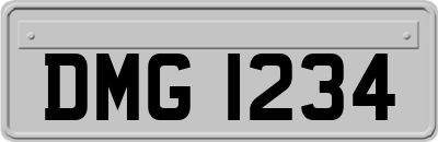 DMG1234