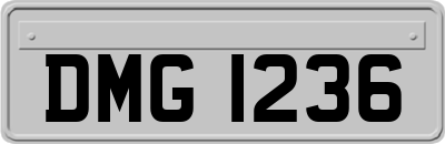 DMG1236