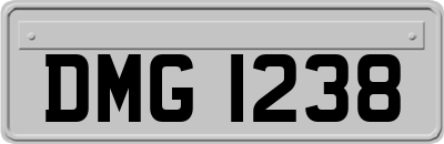 DMG1238
