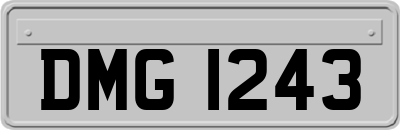 DMG1243