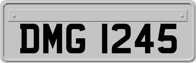 DMG1245