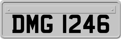 DMG1246