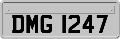 DMG1247