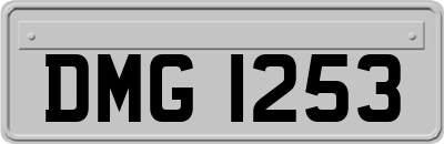 DMG1253