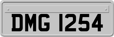 DMG1254
