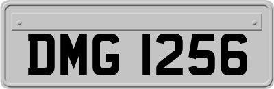 DMG1256