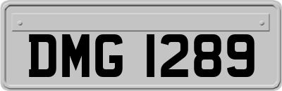 DMG1289