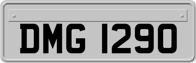 DMG1290