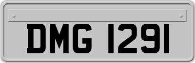 DMG1291