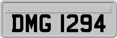 DMG1294