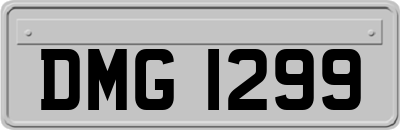 DMG1299