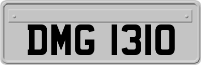 DMG1310
