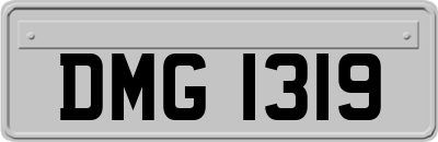 DMG1319