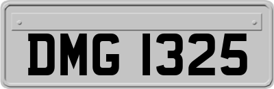 DMG1325