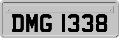 DMG1338