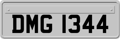 DMG1344