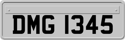 DMG1345