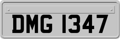 DMG1347