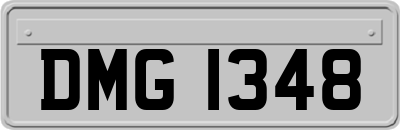 DMG1348