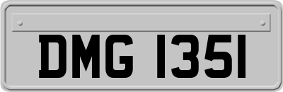 DMG1351