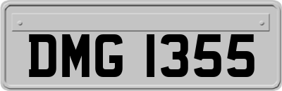 DMG1355