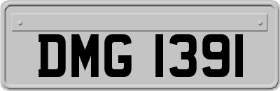 DMG1391