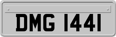 DMG1441