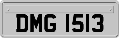 DMG1513