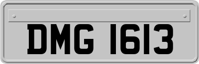 DMG1613