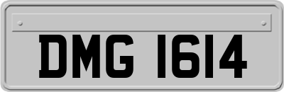 DMG1614