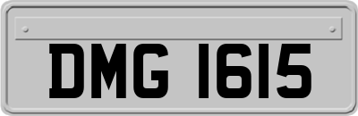 DMG1615