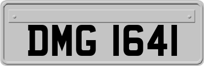 DMG1641