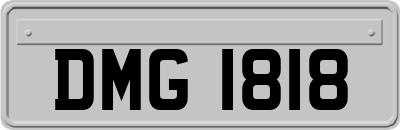 DMG1818