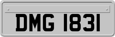 DMG1831