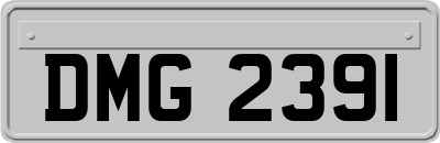 DMG2391