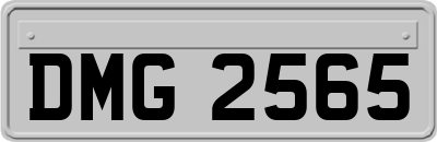 DMG2565
