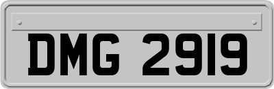DMG2919